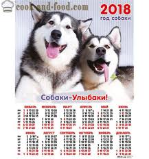 Bukan, sebenarnya orang melayu kita panggil kalendar jenis ini kalendar kuda, biarpun tiada pun gambar kudanya. Kalendar 2018 Godina Psa Na Istocnoj Kalendar Download Free Bozic Kalendar S Pasa I Stenaca