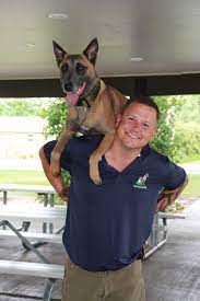 Ptsd Service Dog Training In Colorado Springs Dog Training Elite