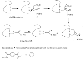 In this aptamer drug, the oligonucleotide is modified with branched peg (40 kda) at the 50 terminus. Protein Pegylation Process An Overview Of Chemistry