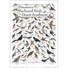 Pin On Backyard Birds