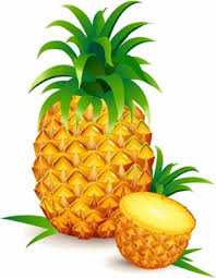 Download pineapple drawing stock photos. Pineapple Drawing Free Vector Download 92 239 Free Vector For Commercial Use Format Ai Eps Cdr Svg Vector Illustration Graphic Art Design