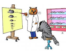 Optometry Humor Cartoon Eye Doctor Click Here To Find Out More Http Googydog Optometry Humor Eye Work Cartoons Funny Animals With Captions