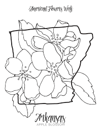Explore unique coloring pages collection and kids activities. 50 State Flowers Free Coloring Pages American Flowers Week