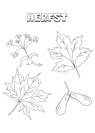 Kleurplaat Herfst 56 Gratis Simpele En Moeilijke Herfst Kleurplaten