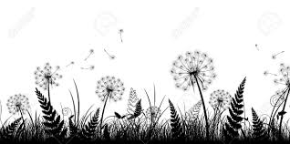 Field In Black And White Grass Drawing Black And White Painting Dandelion
