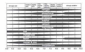 X Nutrients Ph Up