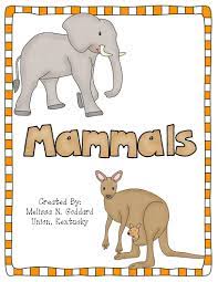 Mammals Activity Pack Mammals Activities Mammals Activity Pack