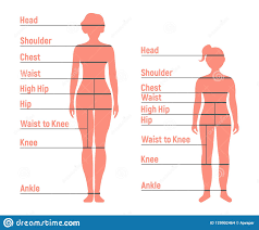 Woman And Girl Size Chart Human Front Side Silhouette
