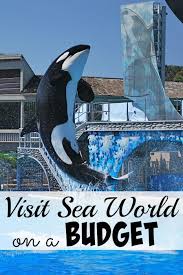 How To Get Discounted Seaworld Tickets Other Budget Tips Sea World Sea World San Diego Orlando Travel