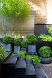 Designer Visit The Black And Green Garden Of Chris Moss Gardenista Modern Garden Modern Landscaping Landscape Design