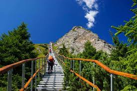 Categoria iii iucn (monument al naturii). M CeahlÄƒu DurÄƒu Vf Toaca Cabana Dochia Duruitoarea