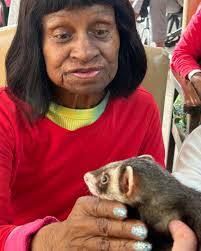 Complete Care Hyattsville...