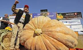 Image result for giant pumpkin