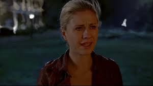 True Blood (4x12)