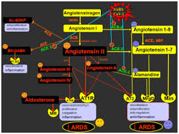 Assay kits · bioactive compounds · order online Ijms Special Issue Renin Angiotensin Aldosterone System Friend Or Foe The Matter Of Balance