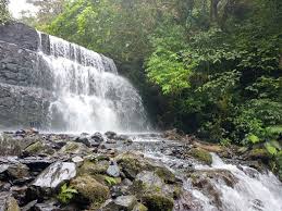 A partir de hoy, tenemos 78,574,936 libros electrónicos para descargar de forma gratuita. The Best Attractions In Barquisimeto Destimap Destinations On Map