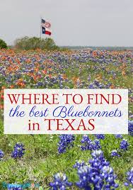 Indian tribes passed down stories from generation to generation about the. 12 Best Places For Texas Bluebonnets In 2021 Travelingmom