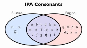 Check spelling or type a new query. Consonants Ipa Introduction And Phoneme Venn Diagram Youtube