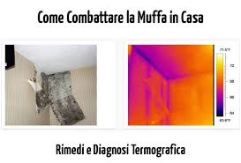 Puoi misurare l'umidità relativa con un igrometro, uno strumento economico disponibile in molti negozi di ferramenta. Combattere La Muffa In Casa Rimedi E Diagnosi Termografica