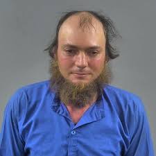Amish man accused of drinking and driving horse-drawn buggy 'blames crash 