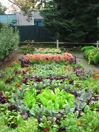 Some vegetables, herbs and flowers benefit each other by improving soil, while others deter pests from one another. Amazing Ideas To Intercropping Vegetables And Flowers Together My Desired Home