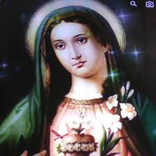 Looking to buy some fresh milk. Is there any dairy farms near los lunas?