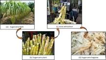 Bagasse Fiber - an overview | ScienceDirect Topics