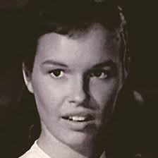 Watch The Adventures of Champion (1955) TV Series Free Online