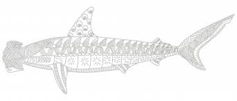 Hammerhead sharks get the name because their heads look like hammers. Hammerhead Shark Coloring Page Kidspressmagazine Com