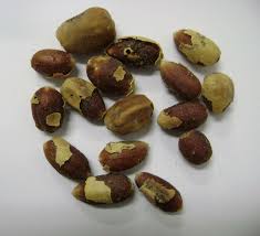 Image result for Balanites aegyptiaca