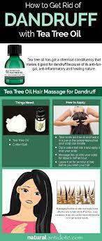 Tea Tree Oil An Effective Remedy For Dandruff And Dry Scalp Teatreeoilforhair Tea Tree Oil Hair Dandruff Remedy Tea Tree Oil For Acne
