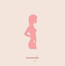 Viele frauen leiden während einer schwangerschaft unter unwohlsein, übelkeit und erbrechen, oft am morgen (die sog. Erste Schwangerschaftswochen Das Passiert In Ssw 1 4 Brigitte De