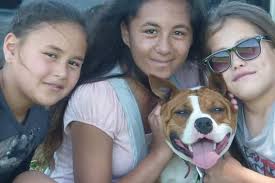 Suki dies after being let off death row for attack in Auckland park; legal  case helps clarify murky law