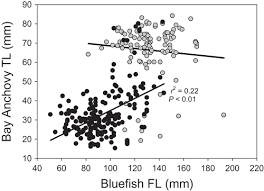 Full article: Premigration Patterns of Growth, Condition, and Resource Use  by the Spring-Spawned and Summer-Spawned Cohorts of Juvenile Bluefish in  the Hudson River Estuary, New York