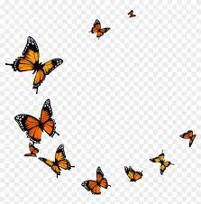 Search and find more on vippng. Butterfly Butterfly Fly Monarch Butterfly Flying Png Free Transparent Png Clipart Images Download