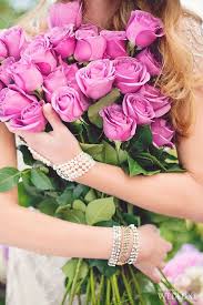 Ana Rosa Photo Pink Roses Beautiful Roses Beautiful Flowers