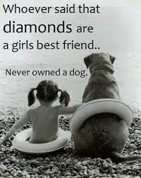 My master is just well trained. Diamonds Dog Quotes Dog Love Girl With Dog
