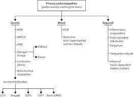 Dilated Cardiomyopathy The Lancet