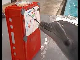 10 Videos Of Animals That Paint Dolphin Painting Dolphins Animal Intelligence