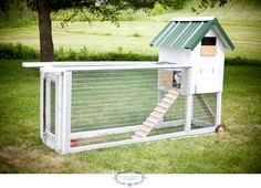 Dua pelajar btec higher national diploma. 8 Reban Ayam Ideas Reban Ayam Reban