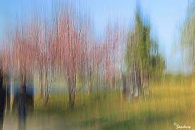 Photo Impressionism Technique Image Of Couple And Trees Where Camera Shake And Oversharpening Creat In 2021 Landscape Photography Impressionism Photography Techniques