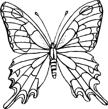 Realistic Butterfly Coloring Pages Only Coloring Pages Butterfly Coloring Page Flower Coloring Pages Butterfly Printable