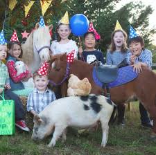 The costs vary greatly if you extend the party or add additional activities. Petting Zoo Hire Kids Zoo Petting Pony Hire Petting Zoo Animals