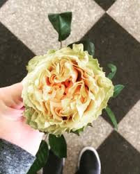 The gentleman there was willing to help me decide on how to surprise a deserving. Vogue Flowers The Flower Market Home Facebook