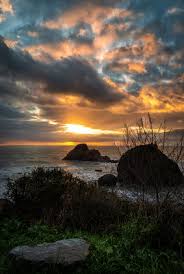 Check spelling or type a new query. Indivstock