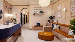 Islyn Studio Creates Soothing Atmosphere In Brooklyn S Bond Vet Clinic