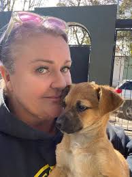 Dropping dogs at the dump is not an option