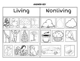 We did not find results for: Pin On Products