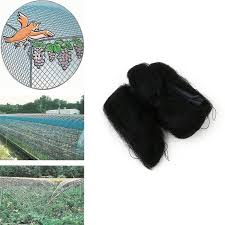 Anti Bird Netting For Garden Cheap Mesh Net Buy Quality Mesh Bird Netting Directly From China Mesh Birds Suppliers 3x10m Black Anti Bird Net Mesh Trees To Plant Bird Netting Fruit Plants