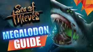 It was added in the 1.4.0 update. Sea Of Thieves Megalodon Guide How To Find How To Kill What S The Reward Youtube